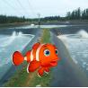 Buy cheap HDPE LDPE LLDPE Liners for Aquaculture Pond Swimming Pool Reservoir Dam Landfill from wholesalers