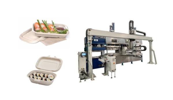 Buy cheap Disposable Pulp Molding Meat Tray Production Machine from wholesalers