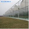 Buy cheap Hot Dip Galvanized Steel Plastic Multispan Greenhouse For Four Seasons Planting from wholesalers