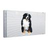 Buy cheap P4 Adhesive Transparent LED Display SMD1921 Front Service 3.5KG/SQM from wholesalers