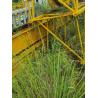 Buy cheap Get Your Hands on the 25 Tons Zoomlion Heavy Tower Crane T600 Used and Sold in 2016 from wholesalers