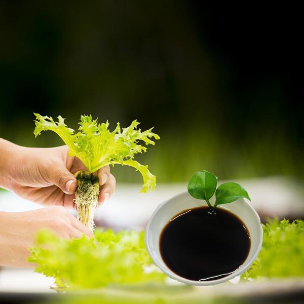 Buy cheap Organic Foliar Fertilizer Amino Acid Chelated Ca Mg Liquid Crop Fertilizers from wholesalers