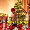 Buy cheap Warm White Balcony 50LEDs Solar String Fairy Lights from wholesalers