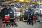 Duel Fuel Diesel Steam Boiler / Carton Cardboard Factory Gas Fired Steam Boiler