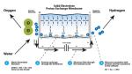 Newly Developed Industrial Pem Technology Hydrogen Generator for Water