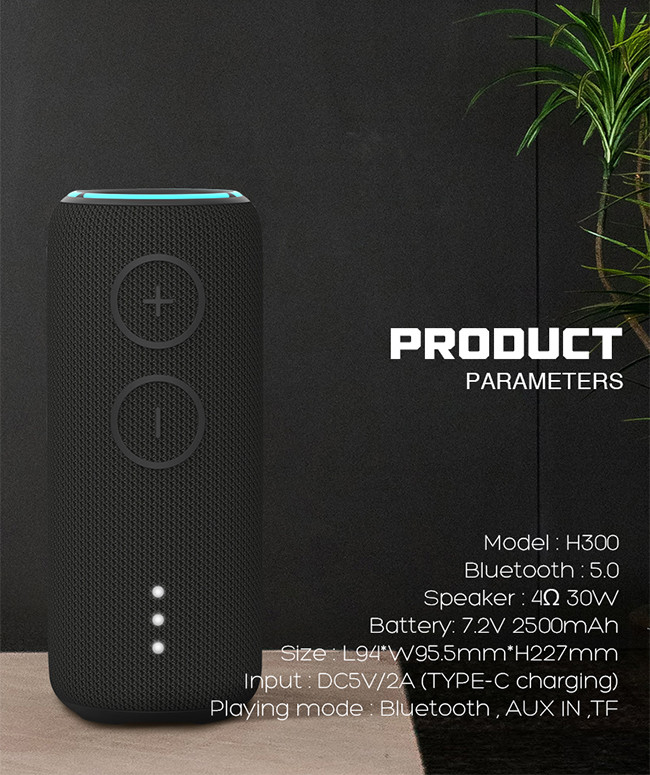 TF Card Bluetooth Fabric Wireless Speaker With 7.2V 2500mAh Battery and 30W Speaker Output