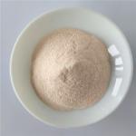 Wholesale Carica Papaya Fruit Juice Powder/Carica Papaya