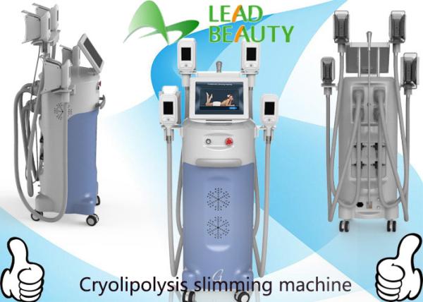 Buy cheap body slimming machine / Cool shape body fat removal Cryolipolysis machine fat from wholesalers
