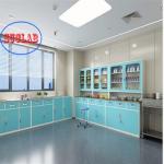 Adjustable Shelves Treatment Cupboards with Stainless Steel Hanlde for Hospital
