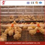 20,000 Birds Easy Operate Full Automatic Broiler Cage System For Chicken Farm