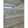 Buy cheap Galvanized Poultry Layer Chickens Cage For Farm Battery Cages For Poultry Chicken Layer from wholesalers