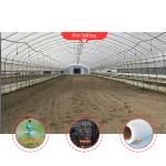 Tomato Greenhouse Fruits With Ventilated PC Board Design Tunnel Green House