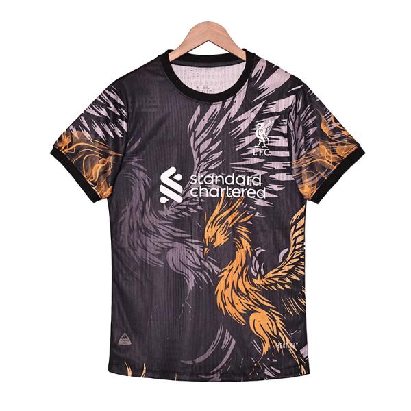 Buy cheap Liverpool FC 2025-2026 Player Edition Special Edition Jersey Group Customization Exclusive Design from wholesalers