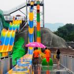 Multicolored Adult Speed Water Slides Water Play Equipment Customizable