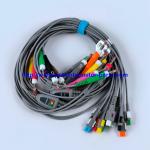 EDAN ECG CABLE 18-Lead 4MM Banana IEC Reusable REF EL16DIB181 IPN 01.57.471394