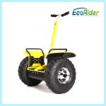 Electric Two Wheel Smart Balance Scooters Off Roading Segway Waterproof
