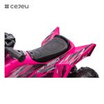 CJ-CH9917A,12V7AH*1/35W*2 Forward/Backward Front light Horn/Purple Red Blue Pink