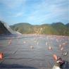 Buy cheap 0.75mm 1.0mm HDPE Geomembrane Pond Liner for Biofloc Tank Customizable and Waterproof from wholesalers