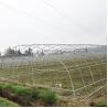 Buy cheap Agriculture Plants Growing Steel Frame Single Span PE Film Greenhouse For Agriculture from wholesalers