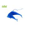 Buy cheap Ocean Scents Plastic Air Freshener , Fashion Design Latest Trends Non Toxic Air Freshener from wholesalers