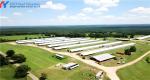 Commercial Building Steel Structure Plant Poultry House For Chicken Shed