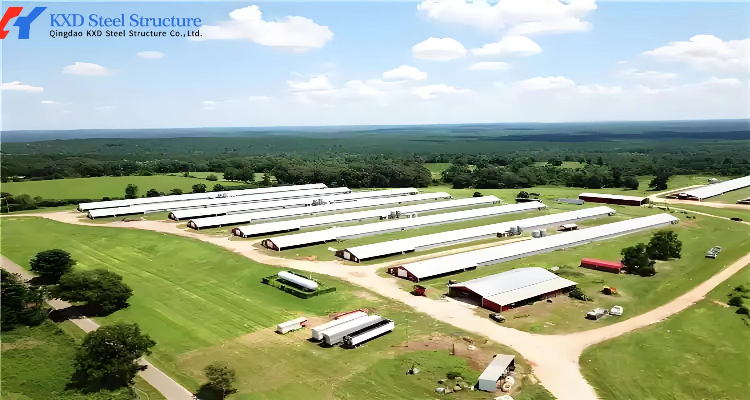 Easy Clean Steel Poultry House Layer Hen House Steel Structure Chicken Broiler Shed