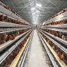 Buy cheap Q235 Standard Steel Layer Chicken Cage Hot Dipped Galvanized from wholesalers