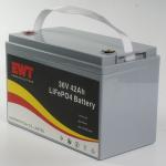 130 Wh/kg Energy Density LiFePO4 36V 50Ah Battery Pack with Built-in BMS Safety
