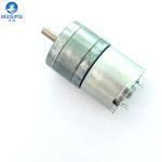 25mm Gearbox DC Brush Motor 12V RF-310 Low Rpm Low Noise DC Motor For Meat