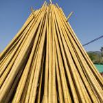 100% Natural Raw 240cm Bamboo Pole Building Deoration 60cm To 595cm