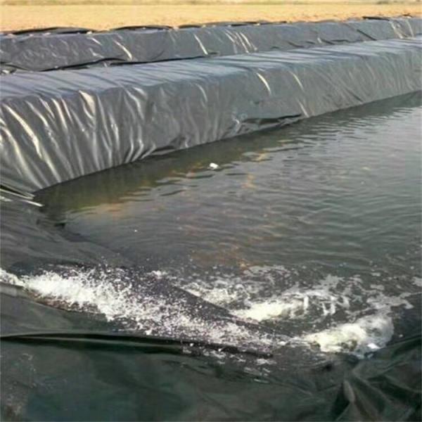 Buy cheap 500 micron HDPE Geomembrane Shrimp Pond Liner for Durable Shrimp Farming in Indonesia from wholesalers