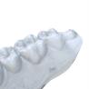 Buy cheap Dental Light Curing 3D Printer Grey High Precision Fixed Repair Model Resin from wholesalers