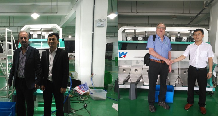 10 Chute Green Blue Brown White Glass Color Sorter Machine for Color Sorting with WiFi Remote