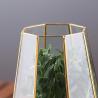 Buy cheap Irregular Geometric Glass Terrarium , Tabletop Diy Geometric Terrarium from wholesalers