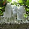 Buy cheap Nonwoven 1.6m 250GSM Netting Bags For Fruit Trees from wholesalers