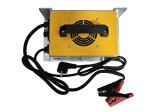 Professional Lithium 36V 25A Golf Cart Battery Charger With LED Indication CC/CV