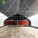 Customized Cannabis Light Dep Solutions Electric Film Roller Blackout Greenhouse