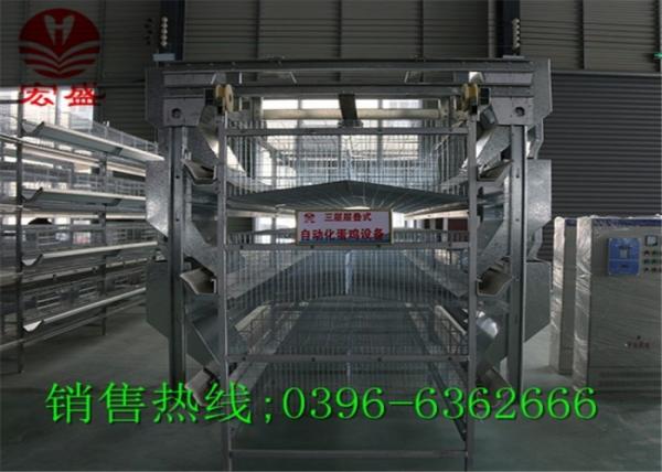Buy cheap Commercial Automatic Egg Collection System / Durable Egg Collector Machine from wholesalers