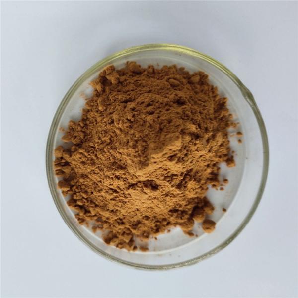 Quality best selling products health care product guava extract for capsules for sale