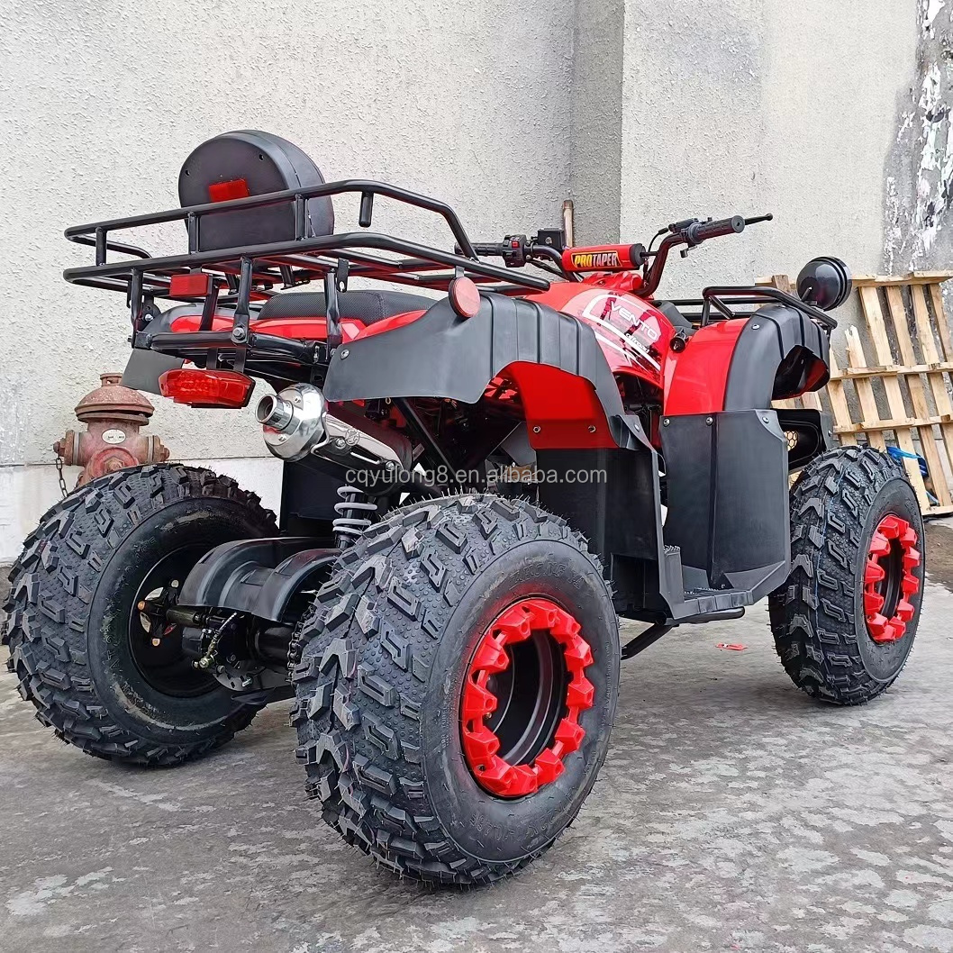 150-200mm Ground Clearance 200cc 250cc Quad Bike Buggy UTV for All Terrain Adventures