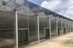 Commercial Herb Cultivation Polycarbonate Green House For Organic Vegetable