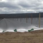 100% Fresh Polypropylene Spunbond Non Woven Fabric For Agriculture Light Weight