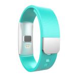 OEM Pedometer Blood Pressure Bracelet
