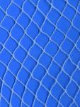 Plant Protection Agricultural Netting Mesh , Lightweight Garden Anti-Bird Net