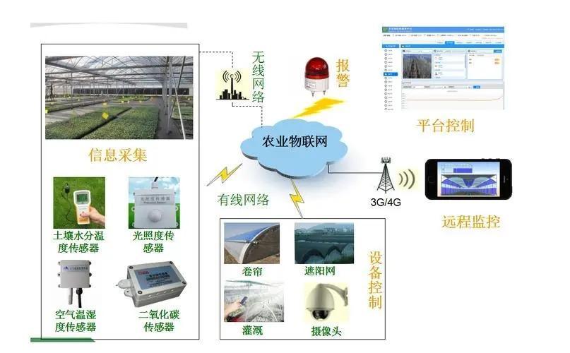 2023 Juxiang Agriculture Equipmenthydroponic Greenhouse with Cooling System for Sale