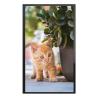 Buy cheap network digital signage32 inch wall mount touch screen for bank entrance from wholesalers