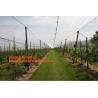 Buy cheap 30 mesh anti insect farm nets for greenhouse,100% pe transparent color greenhouse anti insect net for plant, agriculture from wholesalers