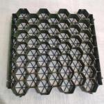 Distribute Loading Parking Lot Fire Lane HDPE Plastic Grass Paver Gravel