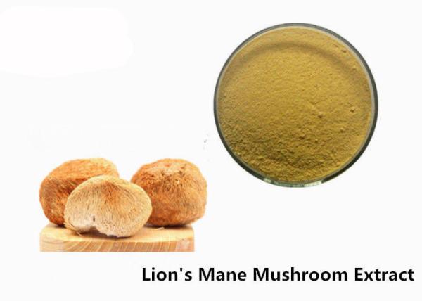Buy cheap Anti Viral 50% Beta D Glucan Organic Lion'S Mane Mushroom Powder from wholesalers