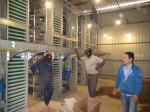 9 Tiers Poultry Battery Layer Chicken Cage Hopper Feeding